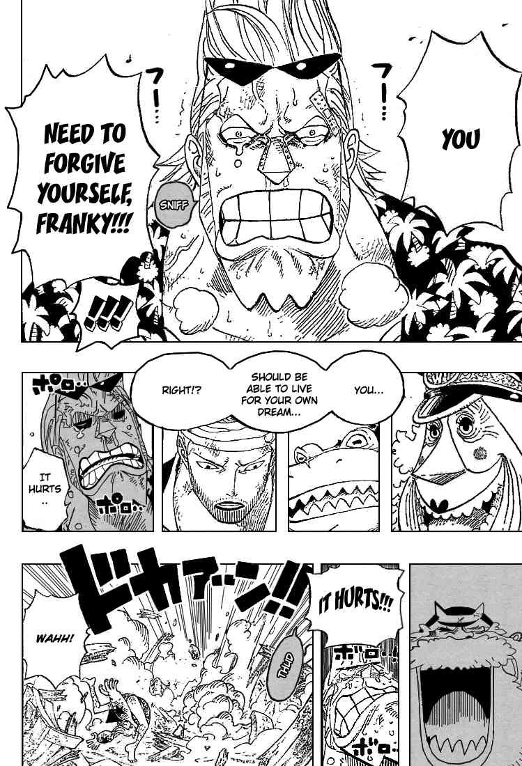 One Piece Chapter 437 10